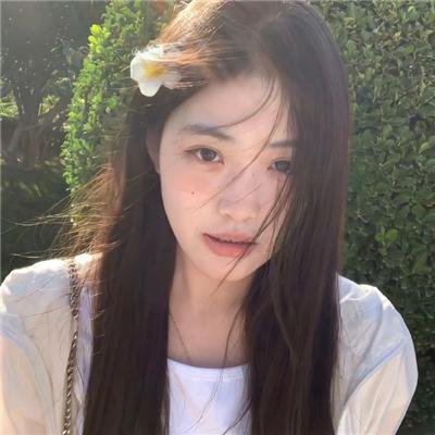 狐及其友